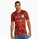 Camisola Goleiro Palmeiras 2025/26 II – Torcedor