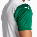 Camisola Puma Palmeiras 2025/26 II Jogador